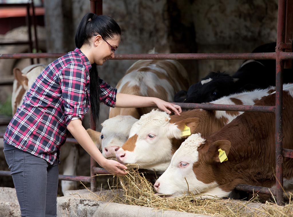 New skills and knowledge can help farmers and growers improve the profitability of their businesses.