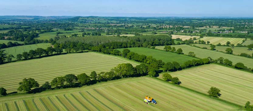 Volunteers sought to help inform new institute’s services.