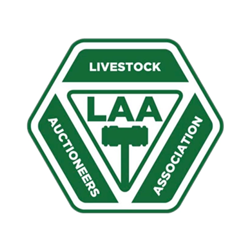 LAA logo