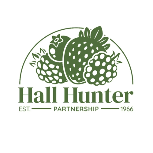 Hall Hunter logo