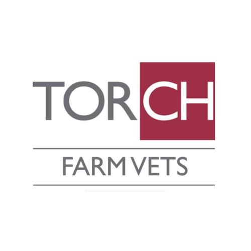 Torch Farm Vets logo