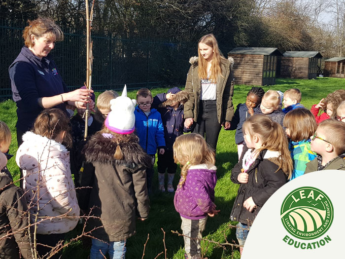 Your school or college could be recognised as leading the way in using food and farming as part of its curriculum.