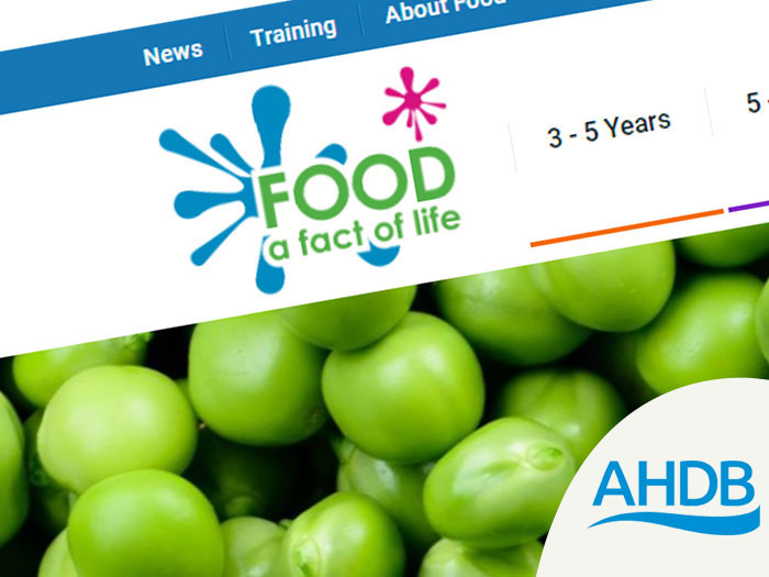 Food - a fact of life website