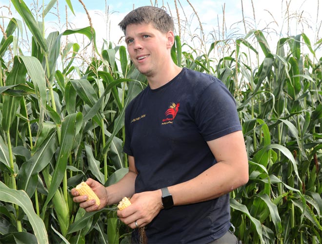 Farm manager checking over his crop.