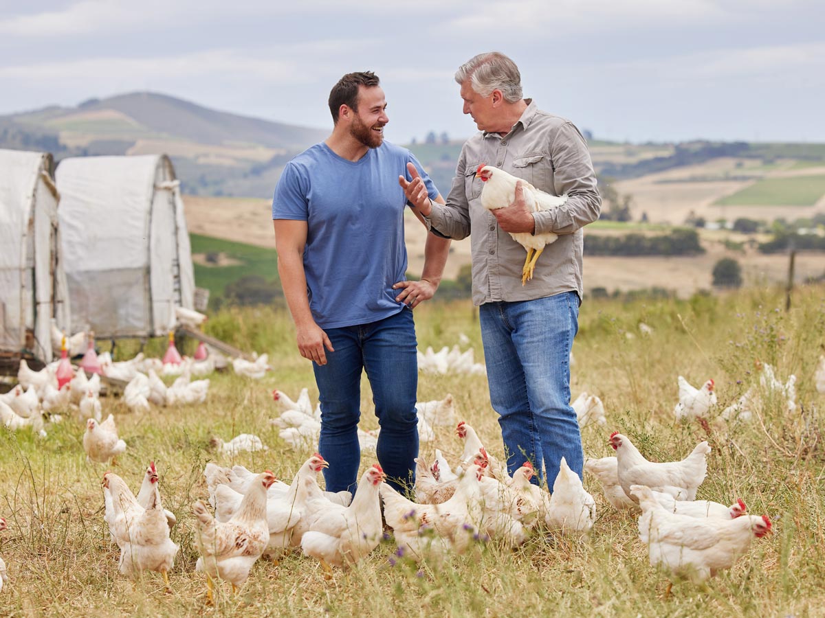 Poultry farm manager and an employee with their hens.