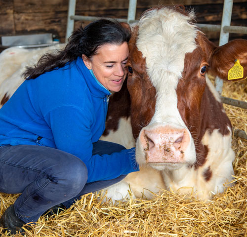 Farm manager in his cattle shed.