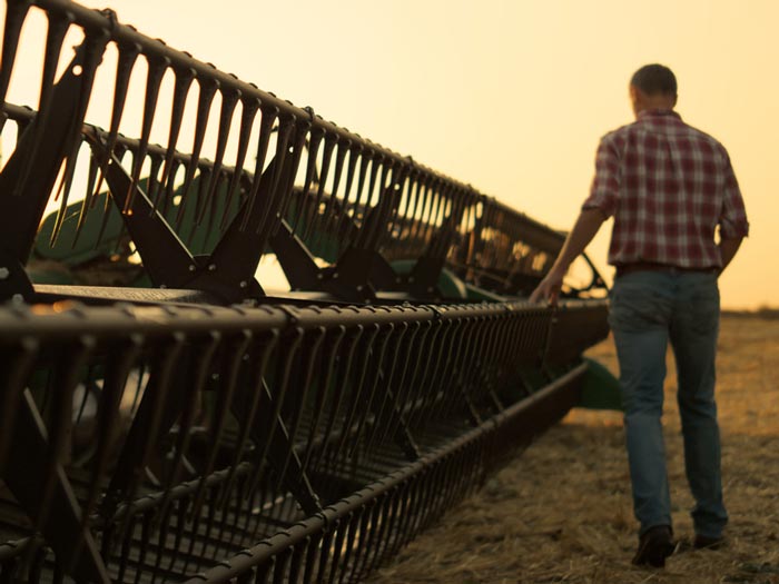 Harvest operations manager inspecting a combine.