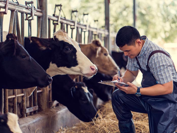 Farm managers play a crucial role in caring for the land and wildlife around their farm.