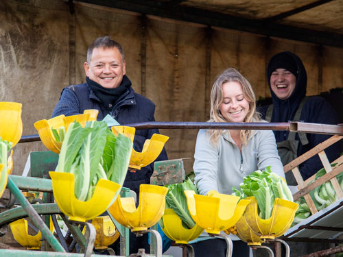 Find out more about the practicalities of working on a farm with our job profiles.