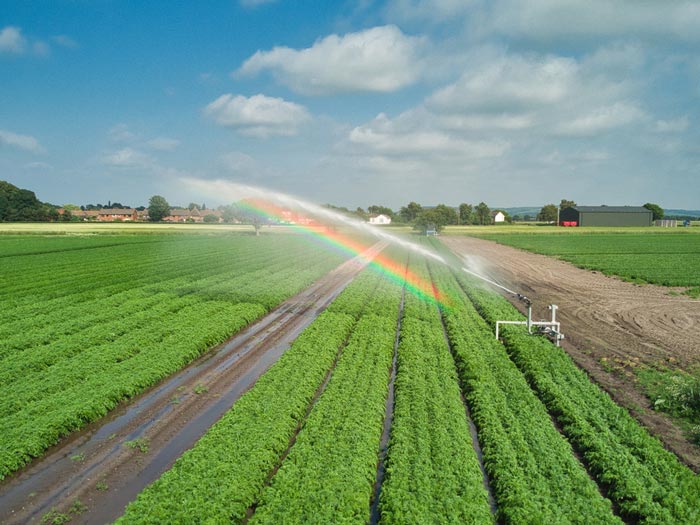 Irrigation assistants play a key role in keeping crops healthy.