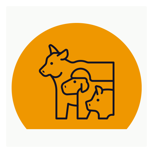 Livestock competencies