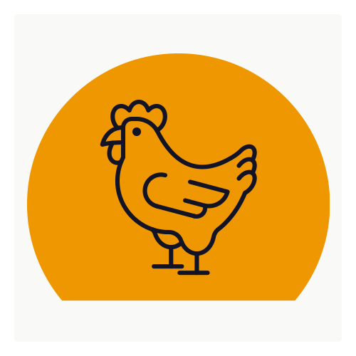 Poultry competencies.