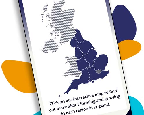 We created a range of content about the industry to help those not familiar with farming and growing understand more about the sector.