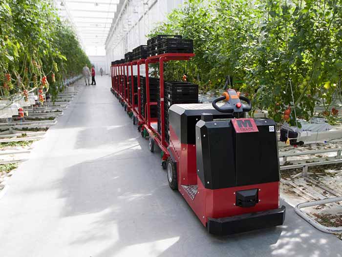 There are a huge range of growing careers in Kent and Medway.