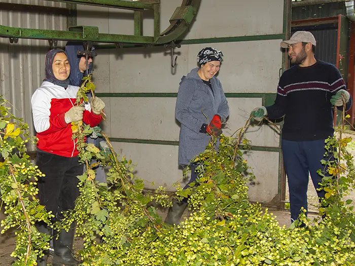 Farmers and growers can stand to benefit from employing veterans, migrants, students and neurodiverse people.