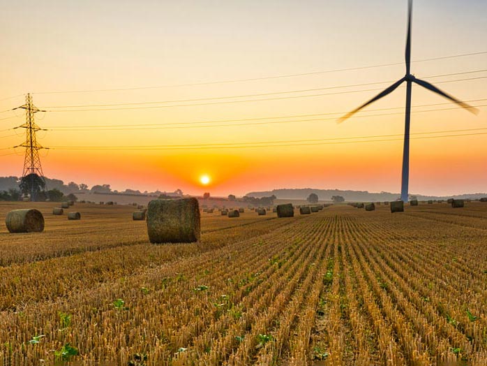 Straw bales in the dawn sunshine. iStock.com/Philip Silverman