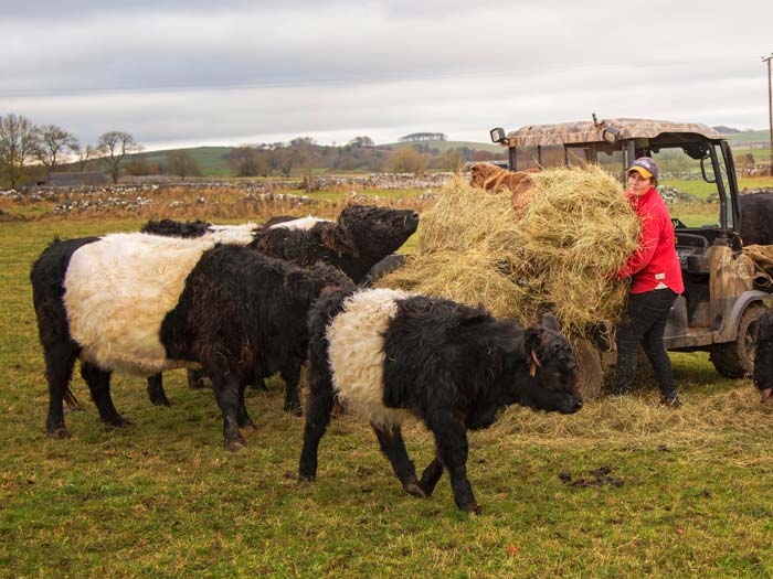 We're working to help farmers and growers develop their skills and improve their businesses.