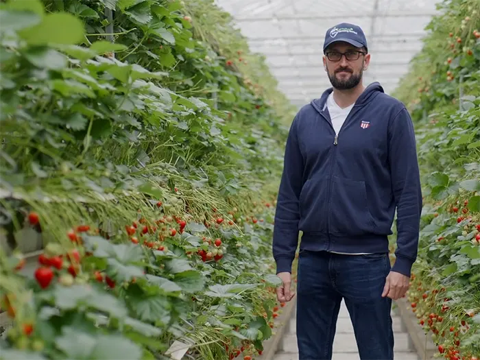 Find out what it's really like to work in the UK's high-tech soft fruit sector with this virtual work shadowing experience.