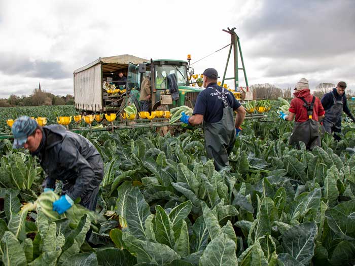 Everyone needs to be conscious of the risks of working with large machinery on-farm. Picture: Ruth Downing.