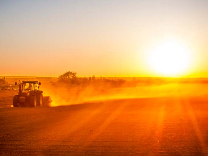 There is a wide range of seasonal duties across England's farms.