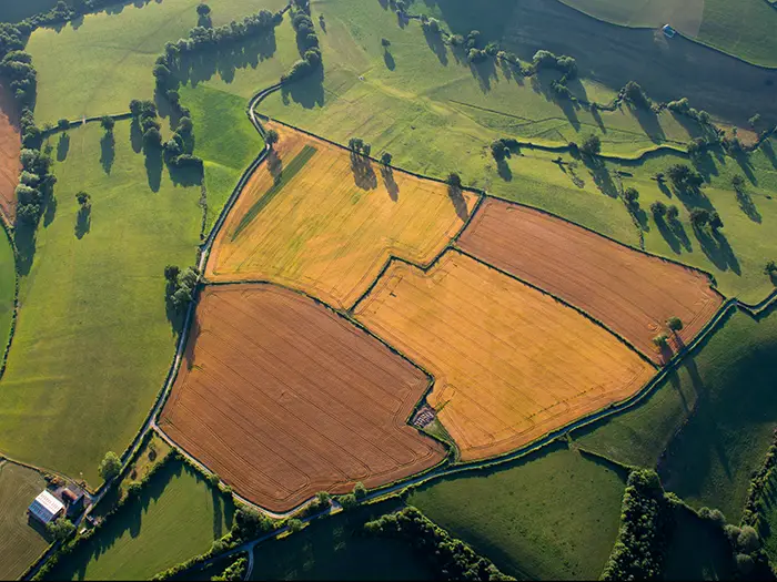 Big field
