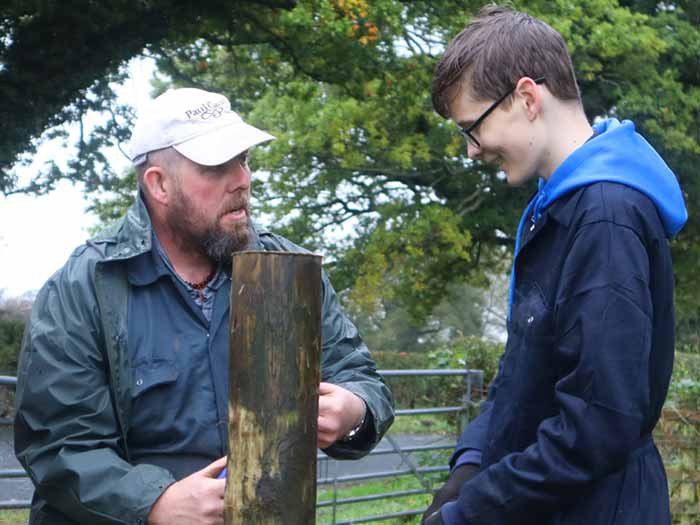 Young person getting experience of farm work.