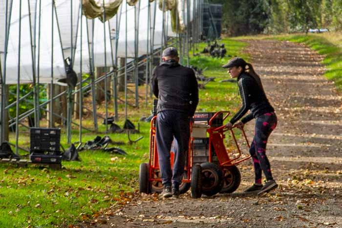 Farmer instructing young employee on farm. Picture: Ruth Downing.