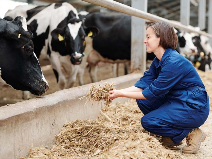 Apprenticeships and T Levels offer oppotunities for enthusiastic young people to kick-start their careers in farming and growing.