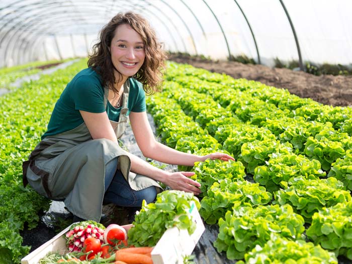 Apprentice tending to vegetable crop. Picture: Production Perig/Shutterstock.com