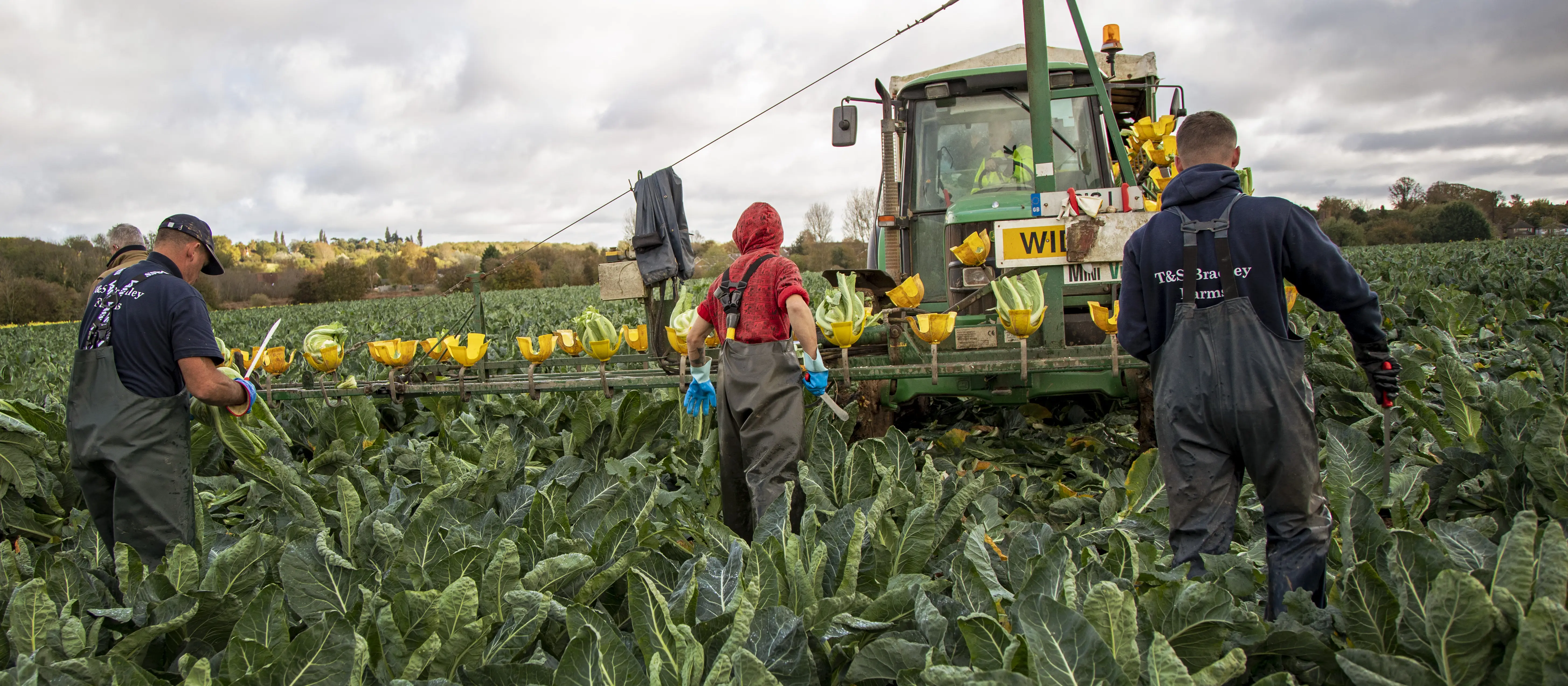 Horticulture teams require strong communication and leadership skills.