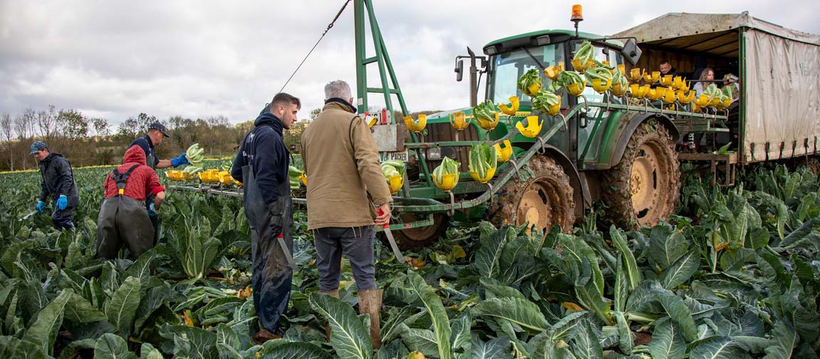 Coaching can help a business create a positive, reliable workforce. Picture: Ruth Downing.