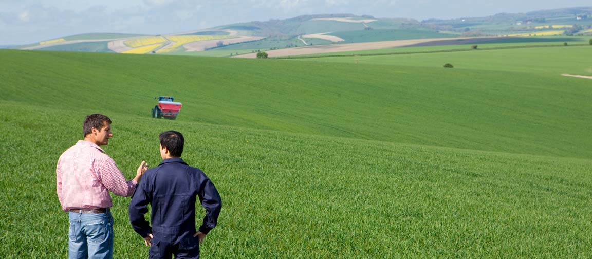 Interviewee is shown around a farm's fields. Picture: Juice Verve/Shutterstock.com