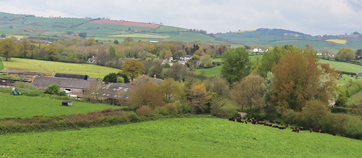 The Sustainable Farming Incentive (SFI) offered farmers and growers an opportunity to develop their business and land sustainably.