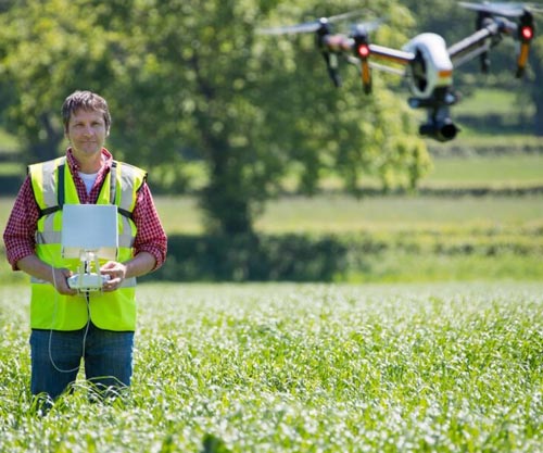 Farmer using drone.