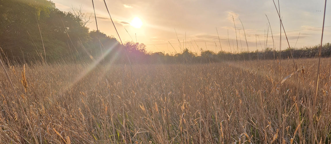 Cold wet mornings are presenting challenges to farmers across the country.