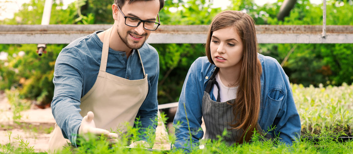 Crop technician helping train an apprentice in a protected horticulture environment. Picture: Pixel Shot/Shutterstock.com.