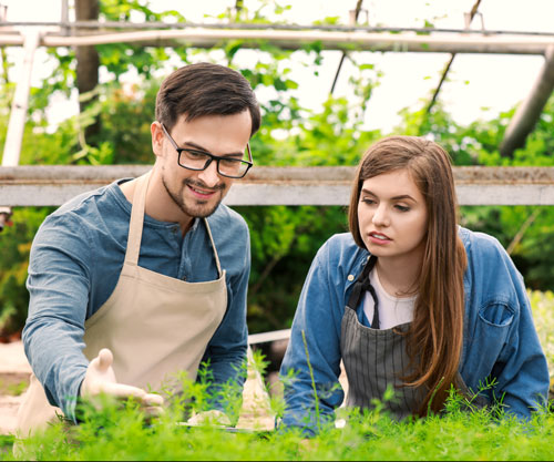 Crop technician helping train an apprentice in a protected horticulture environment. Picture: Pixel Shot/Shutterstock.com.