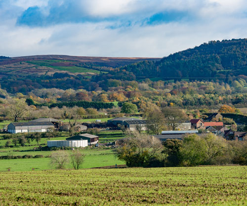 Farm near Northallerton, North Yorkshire. Picture: John Eveson and Vicky Anderson Training.