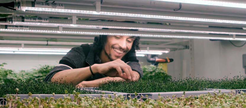 TIAH welcomes and supports the recommendations of the paper published today.