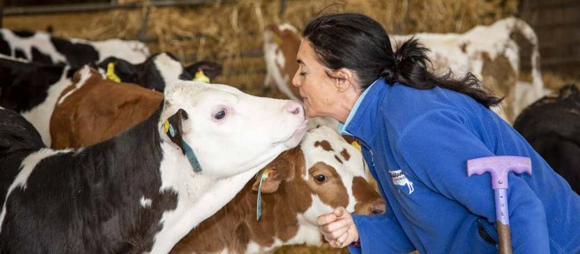 Dairy farmer Karen Halton explains how robotic vending machines have helped her farm drive sales.