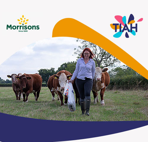 TIAH has developed four comprehensive pathways designed to provide farmers with essential knowledge and skills.