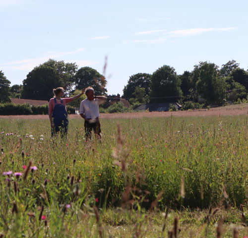 The National Libraries for Agri-Food is a valuable resource for farmers and growers looking for new ideas.