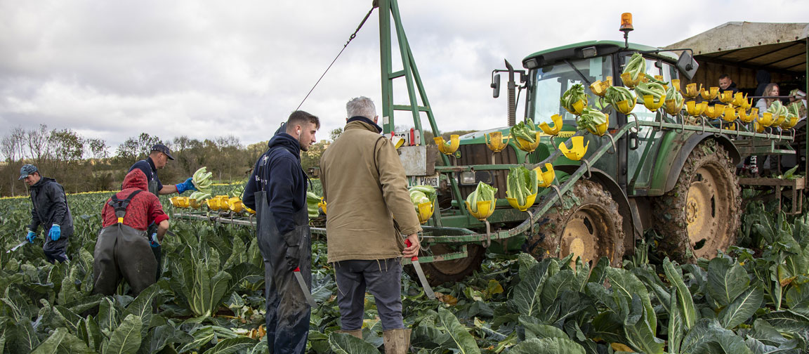 Team resilience can help your business beat volatility. Picture: Ruth Downing.