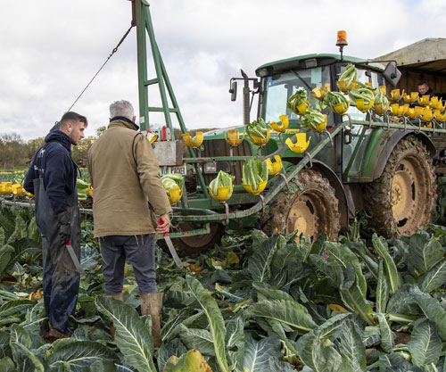 Team resilience can help your business beat volatility. Picture: Ruth Downing.