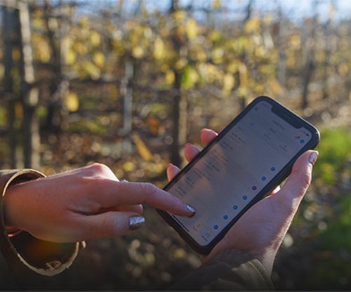 Employers in farming and growing are being sought to take part in a survey about T-Levels.