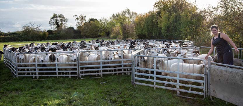 Agriculture and horticultural businesses must improve their ability to recruit and retain staff from both inside and outside the industry.
