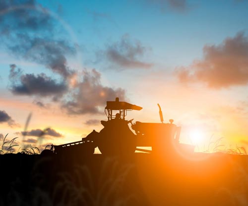 Dr David Rose was pleased to be invited to give a talk to the TIAH Consultation Group on farmer behaviour change and the delivery of education.