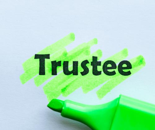 Read about the skills our newest trustees bring to TIAH.