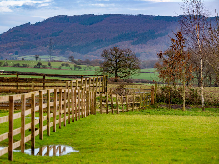 Farmers and growers are working hard to keep good land in food production while enhancing the environment. Picture: John Eveson.