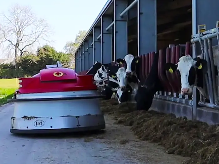 Follow our process in order to give yourself teh best chance of success when looking to bring new technology into your business.